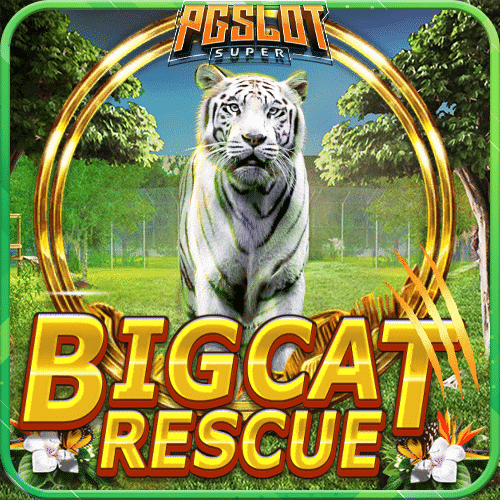 ทดลองเล่นสล็อต Big Cat Rescue Megaways ค่าย Red Tiger