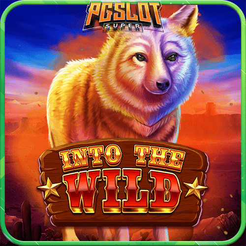 ทดลองเล่นสล็อต Into The Wild Megaways ค่าย Blueprint